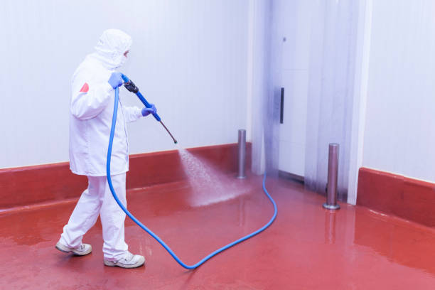 Best Heavy Equipment Washing  in Wrightwood, CA