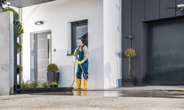 Best Graffiti Removal  in Wrightwood, CA